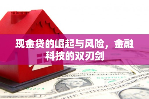 韶关现金贷的崛起与风险，金融科技的双刃剑