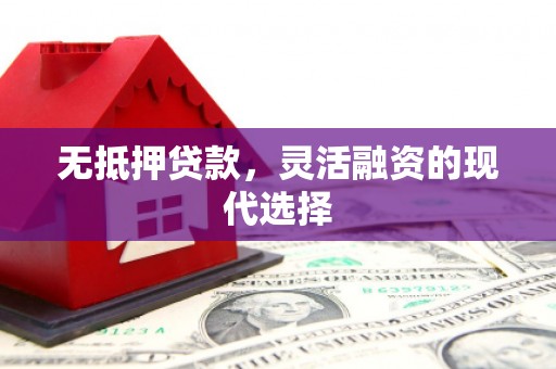韶关无抵押贷款，灵活融资的现代选择