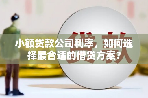 韶关小额贷款公司利率，如何选择最合适的借贷方案？
