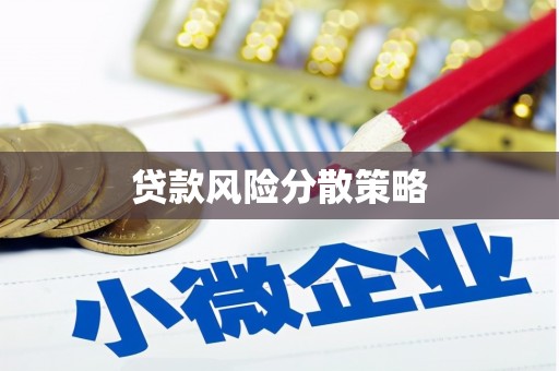 韶关贷款风险分散策略