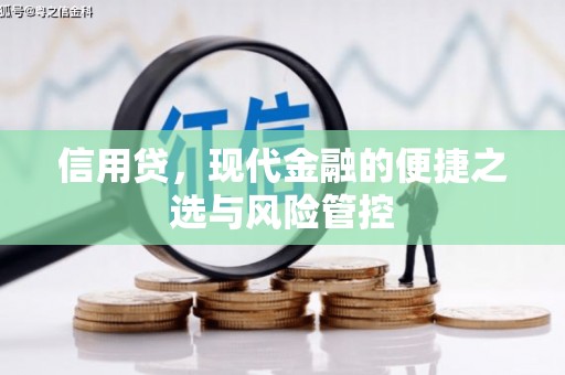 韶关信用贷，现代金融的便捷之选与风险管控