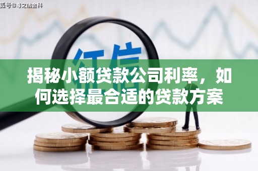 韶关揭秘小额贷款公司利率，如何选择最合适的贷款方案
