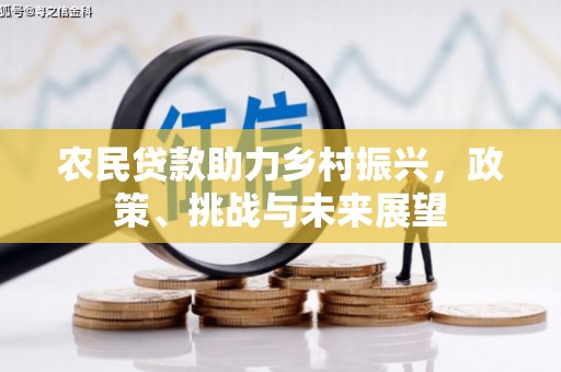 韶关农民贷款助力乡村振兴，政策、挑战与未来展望
