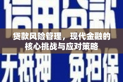 韶关贷款风险管理，现代金融的核心挑战与应对策略