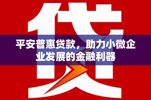 韶关平安普惠贷款，助力小微企业发展的金融利器