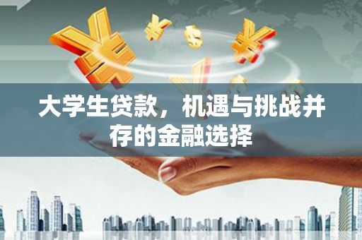 韶关大学生贷款，机遇与挑战并存的金融选择