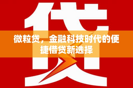 韶关微粒贷，金融科技时代的便捷借贷新选择