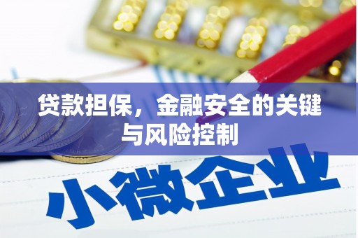 韶关贷款担保，金融安全的关键与风险控制