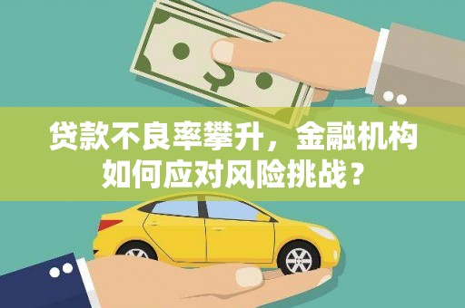 韶关贷款不良率攀升，金融机构如何应对风险挑战？