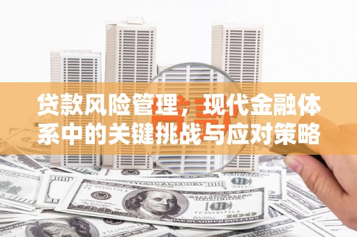 韶关贷款风险管理，现代金融体系中的关键挑战与应对策略