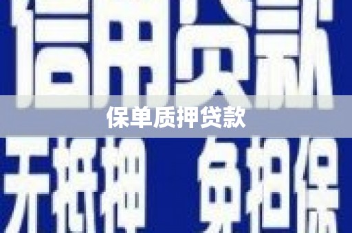 韶关保单质押贷款