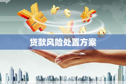 韶关贷款风险处置方案