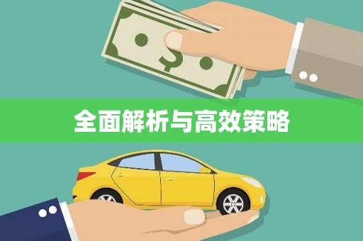 韶关全面解析与高效策略