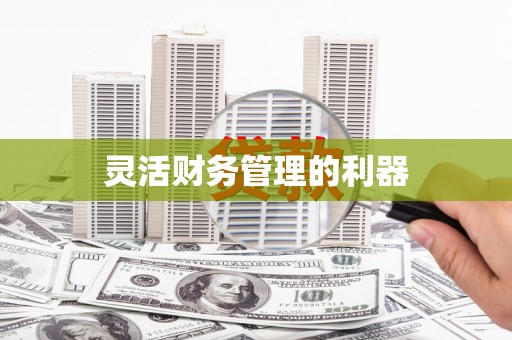韶关灵活财务管理的利器