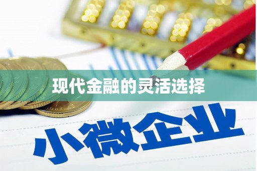 韶关现代金融的灵活选择
