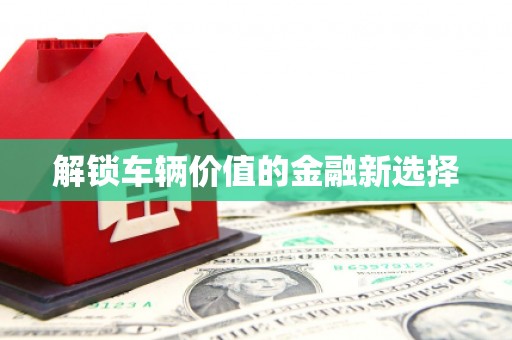 韶关解锁车辆价值的金融新选择