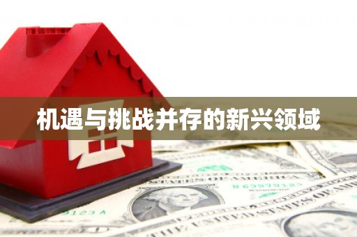 韶关机遇与挑战并存的新兴领域