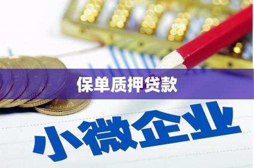 韶关保单质押贷款