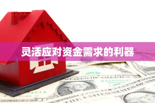 韶关灵活应对资金需求的利器