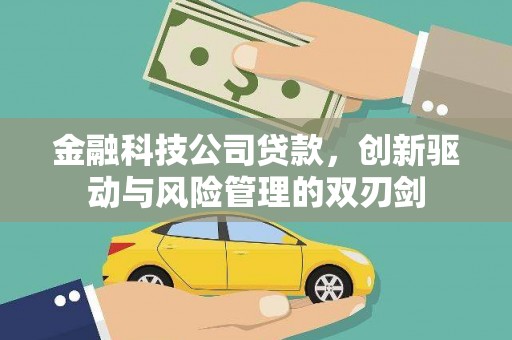 韶关金融科技公司贷款，创新驱动与风险管理的双刃剑