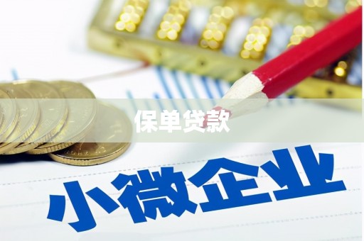 韶关保单贷款